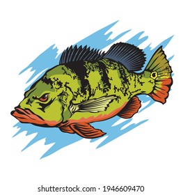 Fishing logo with peacock bass icon in vector illustration, perfect for fishing club and event or tournament logo, also tshirt