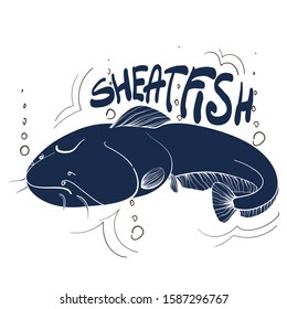 Fishing logo. Sheatfish. Fishing vector illustration. Isolated on white.