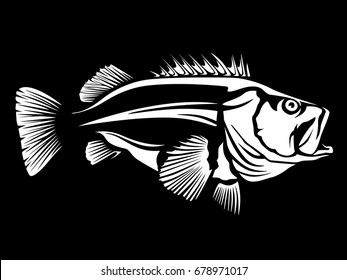 Fishing Logo.Rock Fish. Bass Fish With Rod Club Emblem. Fishing Theme Vector Illustration. Isolated On White.