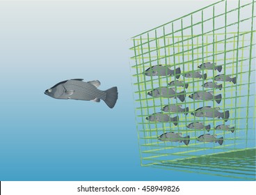 Fishing net under ocean water vector illustration,sea perch trapping
