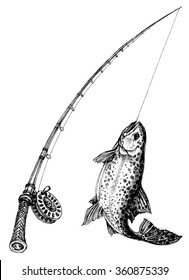fishing rod fish isolated 260nw 360875339