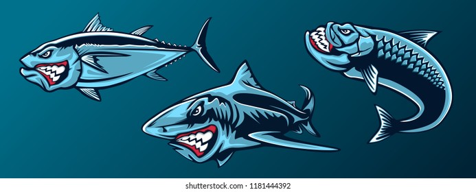 Fishing set of angry tuna, shark and piranha. Fishing emblem of ocean fish. Big eye tuna. Angry fishing club logotype. Dangerous fish.