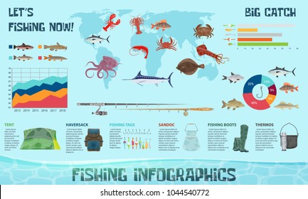 Fishing sport and fish catch infographics design template. Vector diagrams on fish species in ocean and sea, fisherman statistics and tackles or baits types charts and seafood percent share elements