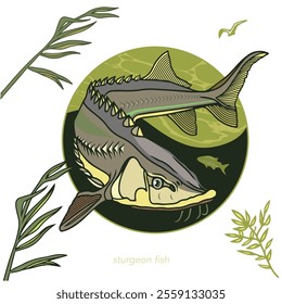 Fishing sturgeon fish vector clipart