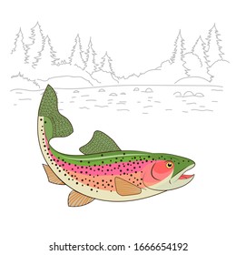 Fishing theme vector. Rainbow Trout Fish Realistic drawing Vector illustration. American trout swimming in water isolated on white. 