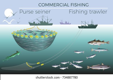 Fishing trawler and purse seiner. Vector illustration