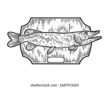 Pescado relleno de trofeo de pesca, lucio del norte. Diseño de impresión de ropa. La imitación de la tabla de raquetas. Imagen dibujada a mano en blanco y negro. Gráfica vectorial de grabado