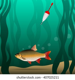 Fishing. Under the water. The fish grabbed the bait and pulls the fishing tackle. River bottom and algae.