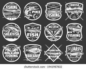 Fishing vector icons with sea eel, pike and hake, horse mackerel, gilt head bream, anchovy and tuna fish. Fisherman tournament. Ocean fishing, rods or spinning with hooks and floaters vintage labels