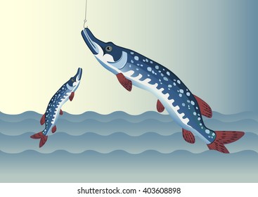 Fishing. vector illustration