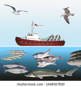 Fishing vessel in the sea with a lot of fish and flying seagulls. Vector illustration in realistic style