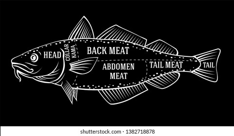 Fishmonger diagram guide for cutting cod fish in black and white chalk style