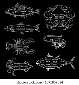 Fishmonger diagram guide for cutting fish and sea food in black and white chalk style