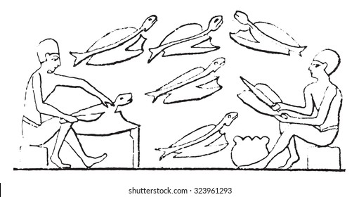 Fishmonger, vintage engraved illustration.
