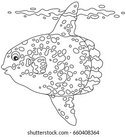 167 Mola fish Stock Illustrations, Images & Vectors | Shutterstock