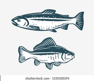 Fishs such as trout and carp. Fishing concept. Vector illustration