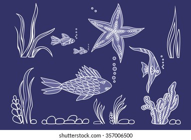 Fish,star, algae on seabed.Blue background. 