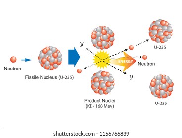 fission fission meaning