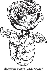 Fist giving rose - hand drawn realistic vector illustration