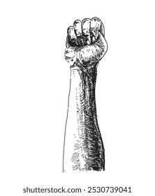 fist up hands fight gesture linear realistic illustration on white background