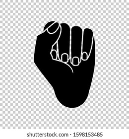 fist icon isolated on transparent background