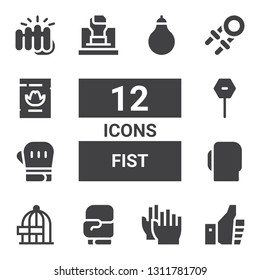 fist icon set. Collection of 12 filled fist icons included Thumbs up, Clap, Boxing gloves, Freedom, Stop, Fist, Hand grip, Wanted, Punching bag