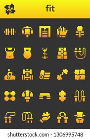 fit icon set. 26 filled fit icons.  Collection Of - Dumbbell, Puzzle, Gym station, Football gloves, Exercise, Abs, Stationary bike, Skip rope, Yoga, Barbell, Fitness step, Jumping rope