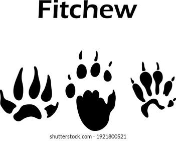 Fitchew Footprint. Black Silhouette Design. Vector Illustration.