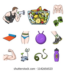 Fitness and attributes cartoon icons in set collection for design. Fitness equipment vector symbol stock web illustration.