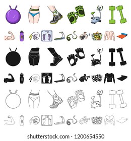 Fitness and attributes cartoon icons in set collection for design. Fitness equipment vector symbol stock web illustration.
