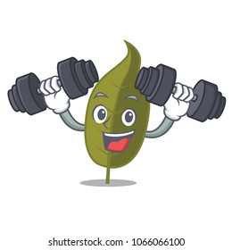 Fitness bay leaf character cartoon