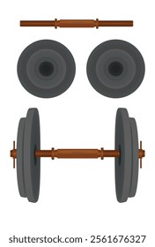Fitness dumbbell equipment. vector illustration