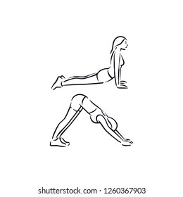 Fitness exercise down and upward dog work out illustration