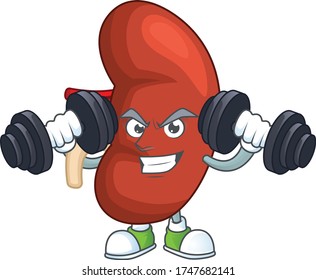 Fitness exercise right human kidney cartoon character using barbells