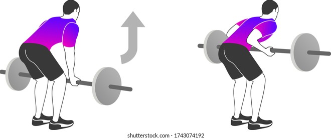 Fitness exercises for strong and beautiful Back and Biceps. Fitness, Aerobic and workout exercise in gym. Vector of gym icons in line style isolated on white background. People in gym. Gym equipment