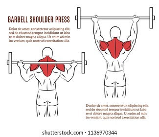 67,628 Shoulder gym Images, Stock Photos & Vectors | Shutterstock