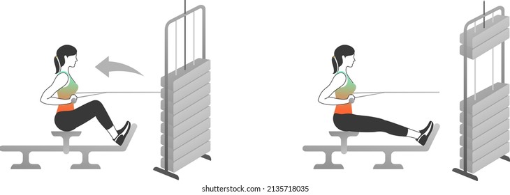Fitness exercises for strong and beautiful woman. Fitness, Aerobic and workout exercise in gym. Vector set of gym icons in line style isolated on white background. People in gym. Gym equipment.