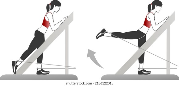 Fitness exercises for strong and beautiful woman. Fitness, Aerobic and workout exercise in gym. Vector set of gym icons in line style isolated on white background. People in gym. Gym equipment.