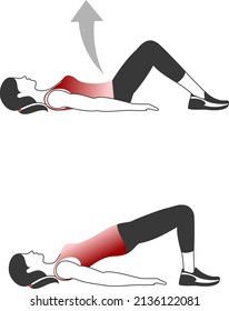 Fitness exercises for strong and beautiful woman. Fitness, Aerobic and workout exercise in gym. Vector set of gym icons in line style isolated on white background. People in gym. Gym equipment.