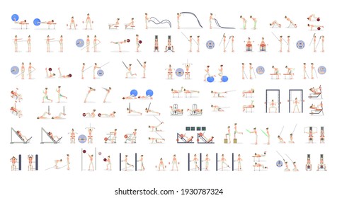 Fitness Exercises Total Body. Fat Burn  Training In The Gym . Fitness Equipment. Total Body Workout. Exercises For All Muscle Groups