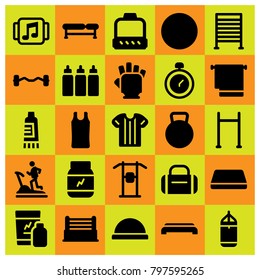 Fitness icon set vector. mat, ball, bosu ball and biceps dumbbell