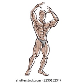 Fitness men posing. Muscular man stands, rippling athlete, sprinter. Vector drawing