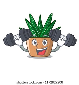 Fitness mini zebra cactus on cartoon pot