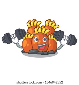 Fitness orange coral reef toys shape cartoon
