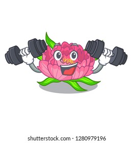 Fitness Peony flowers in a cartoon basket