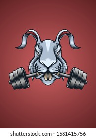 Fitness Rabbit illustration for digital, t shirt, apparel and other merchandise