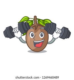 Fitness sapodilla fruit on the character bowl