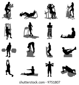 fitness vector