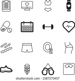 fitness vector icon set such as: measurement, suit, wheat, vegetarian, measure, footwear, month, device, electrocardiogram, list, clip, date, beauty, bikini, oat, screen, paper, activity, sneakers