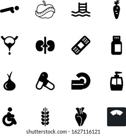 fitness vector icon set such as: active, crop, education, soap, centimeter, face, training, access, female, vegan, accessibility, drop, onion, harvest, strong, scanner, agriculture, shiny